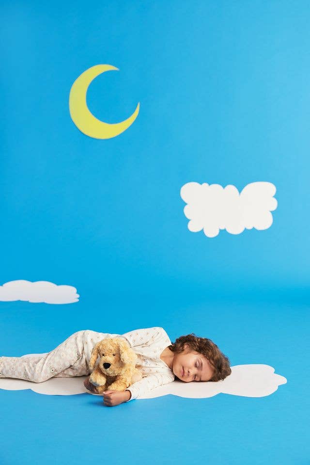 Golden Dog Warmies: Lavender Heatable Weighted Plush 13 in