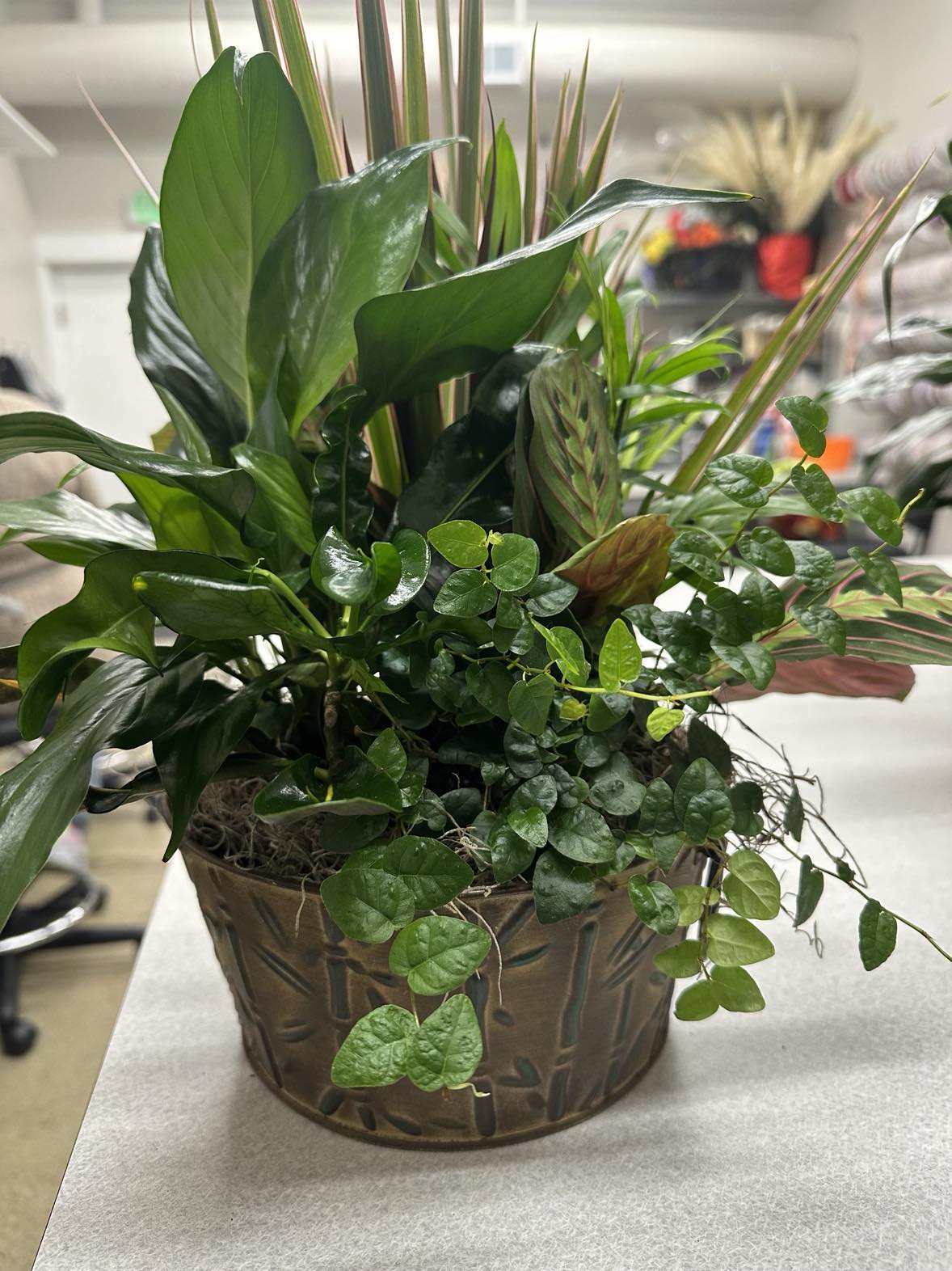 10" Metal Potted Plant- Varies
