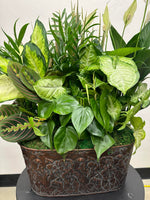 12" Metal Rectangle Potted Plant- Varies