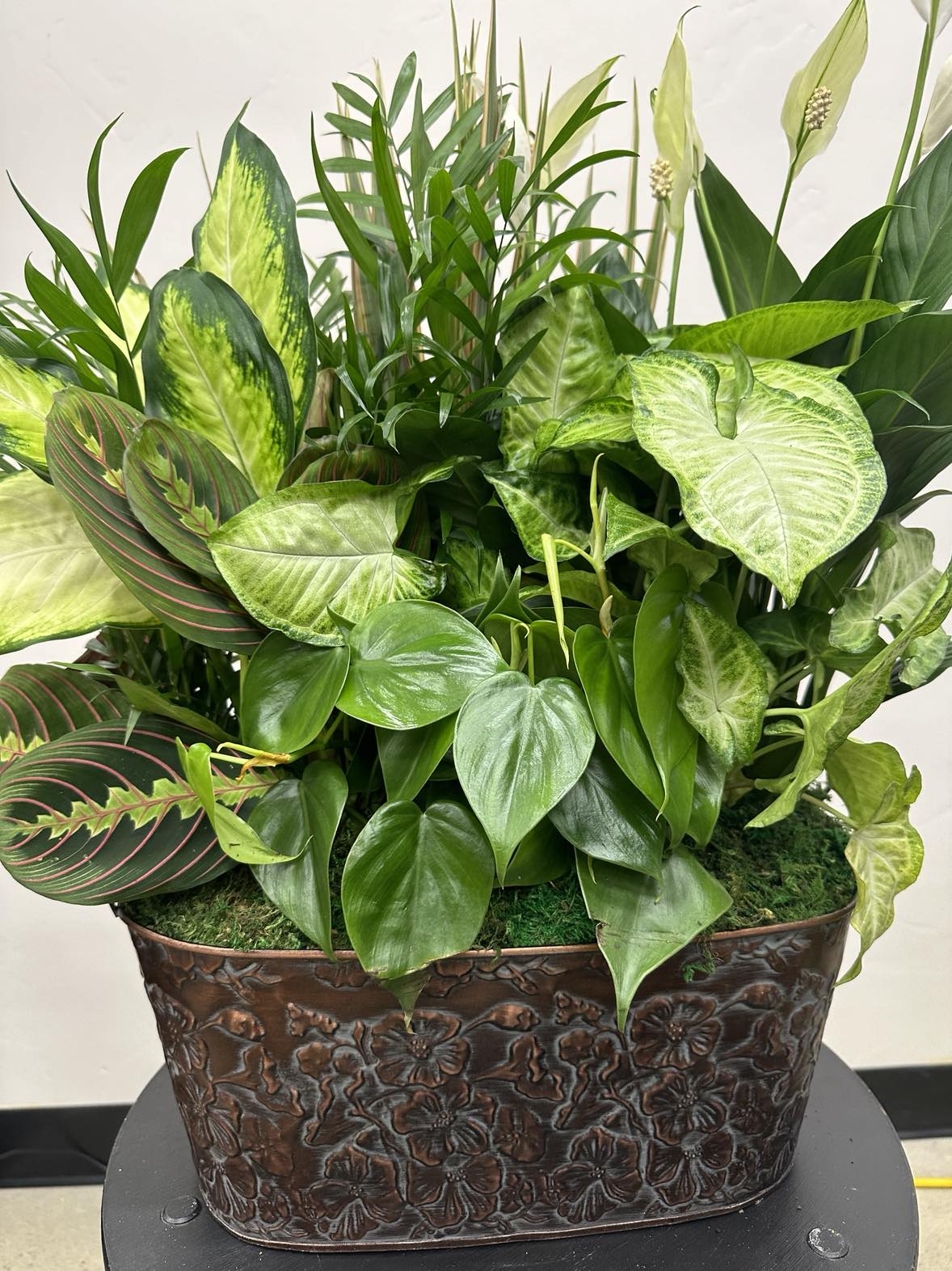 12" Metal Rectangle Potted Plant- Varies