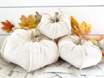 Natural Cotton Fabric Pumpkin Single, Set of 3