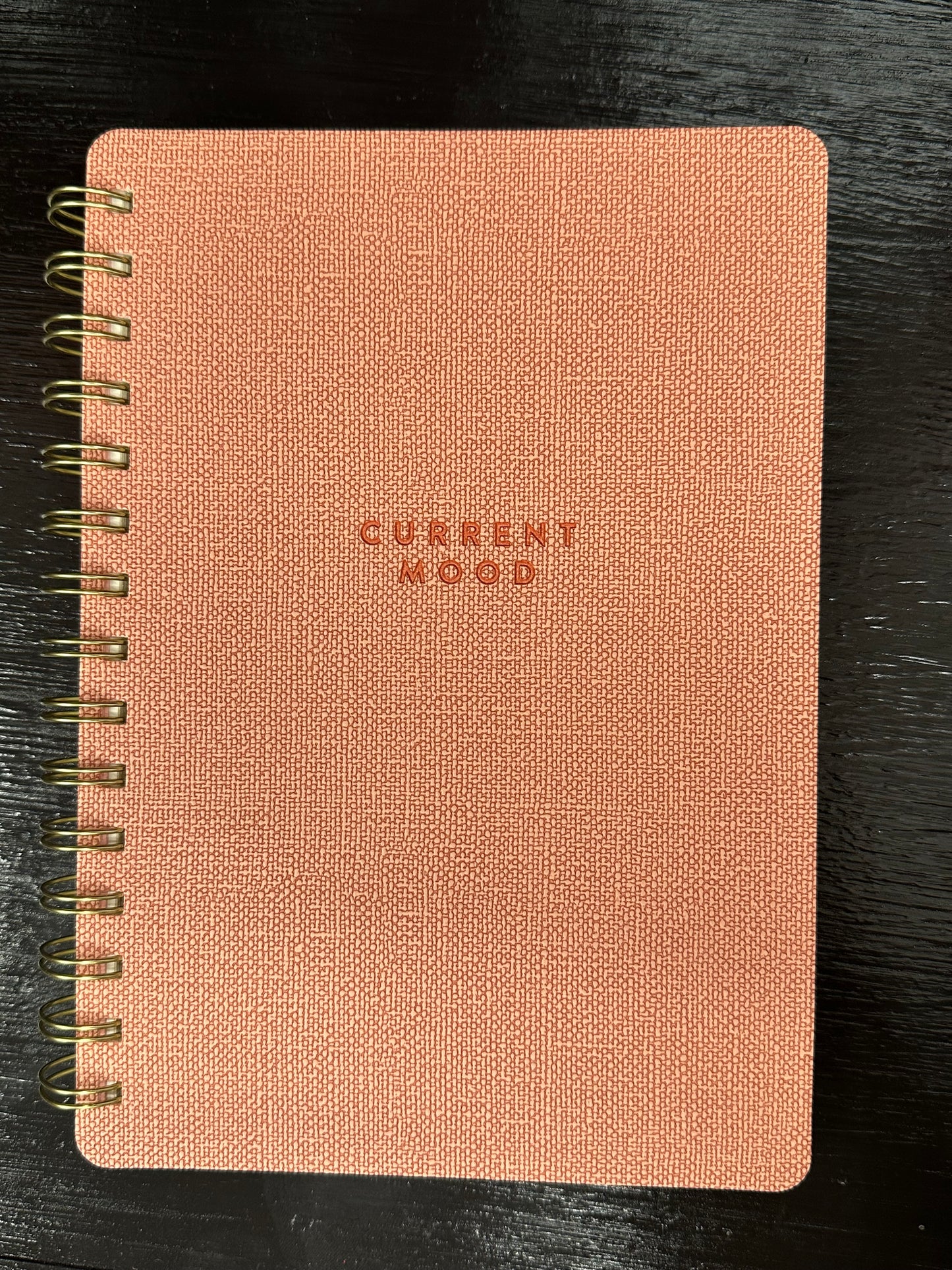 Cuaderno de Agatha - Estado de ánimo actual