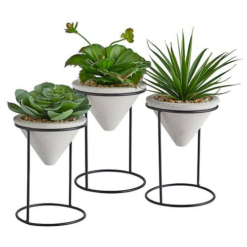 Plants W/Iron Stand-varies