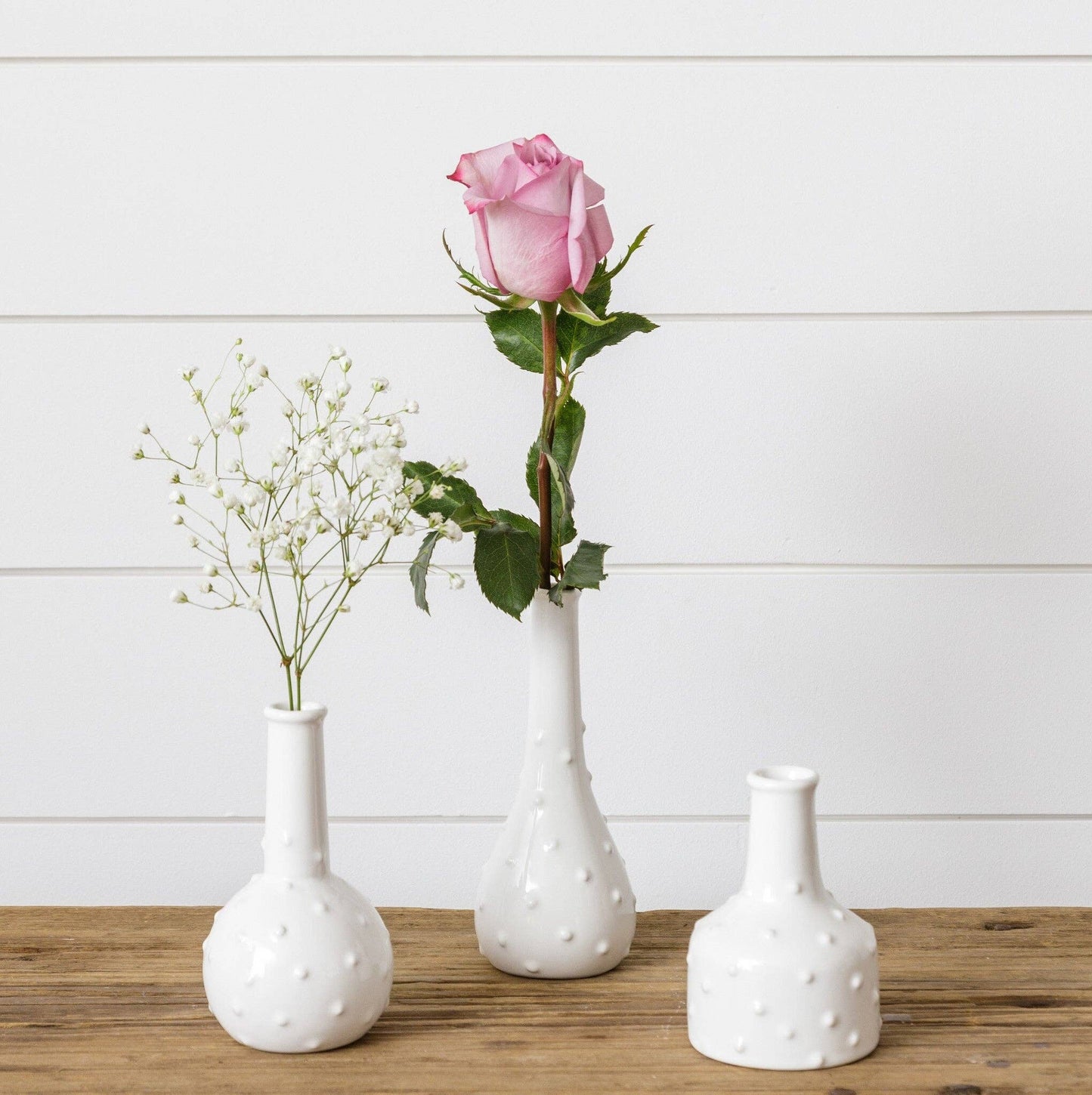 Dottie Bud Vases Ast