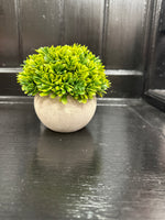 Tray Decor- Stone Pot & Foilage