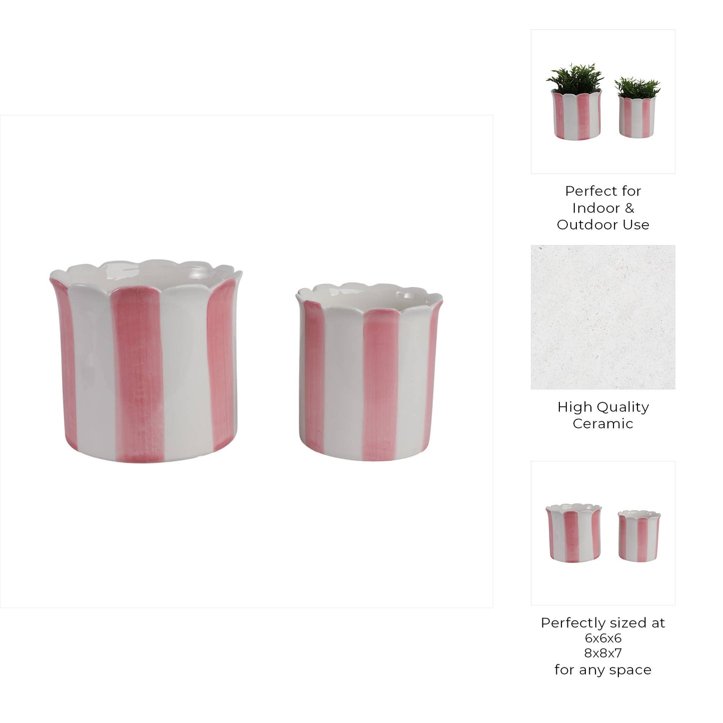Pink Ceramic Striped Scallop, 6/8 in.