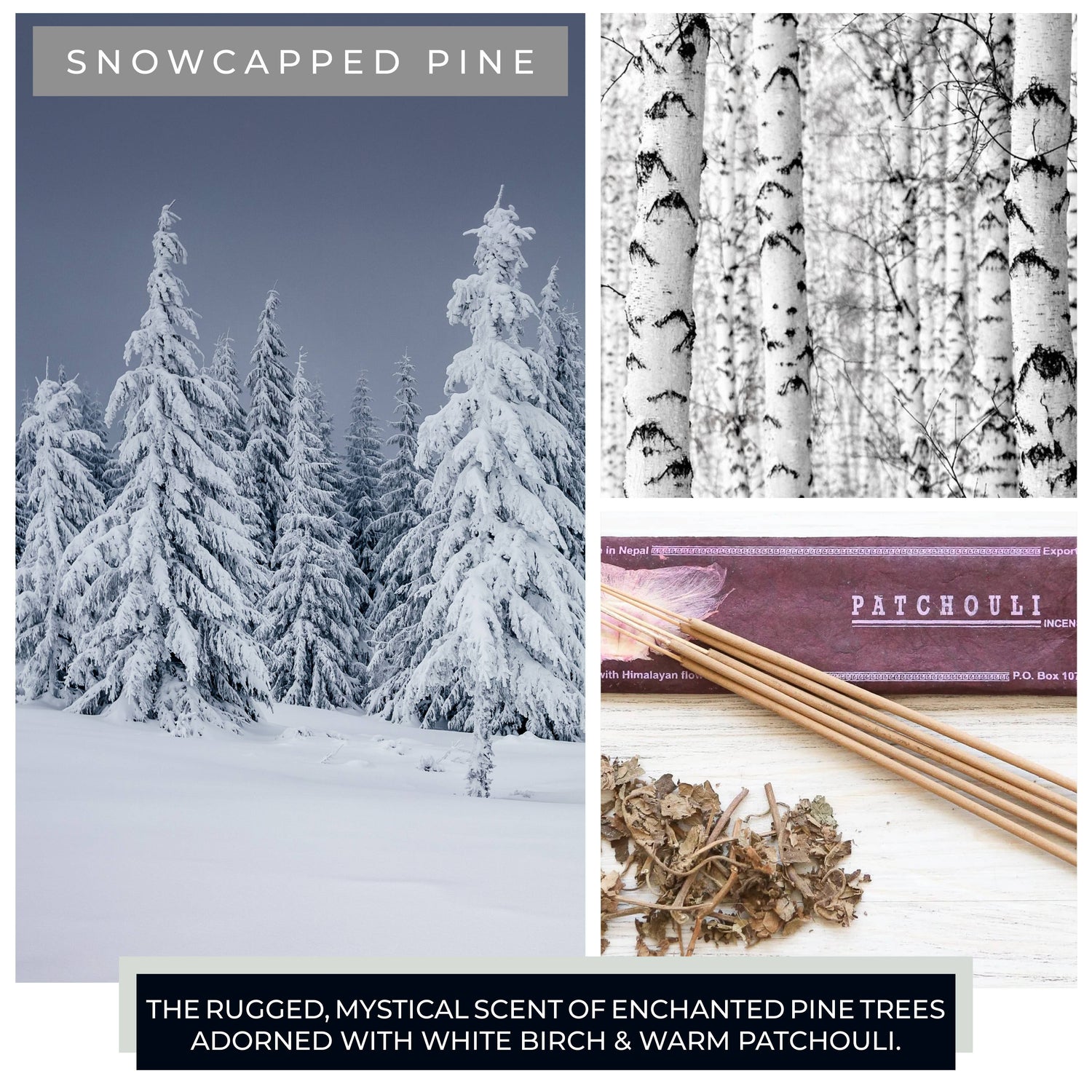 Cheerful Candle (16oz.) – Snowcapped Pine