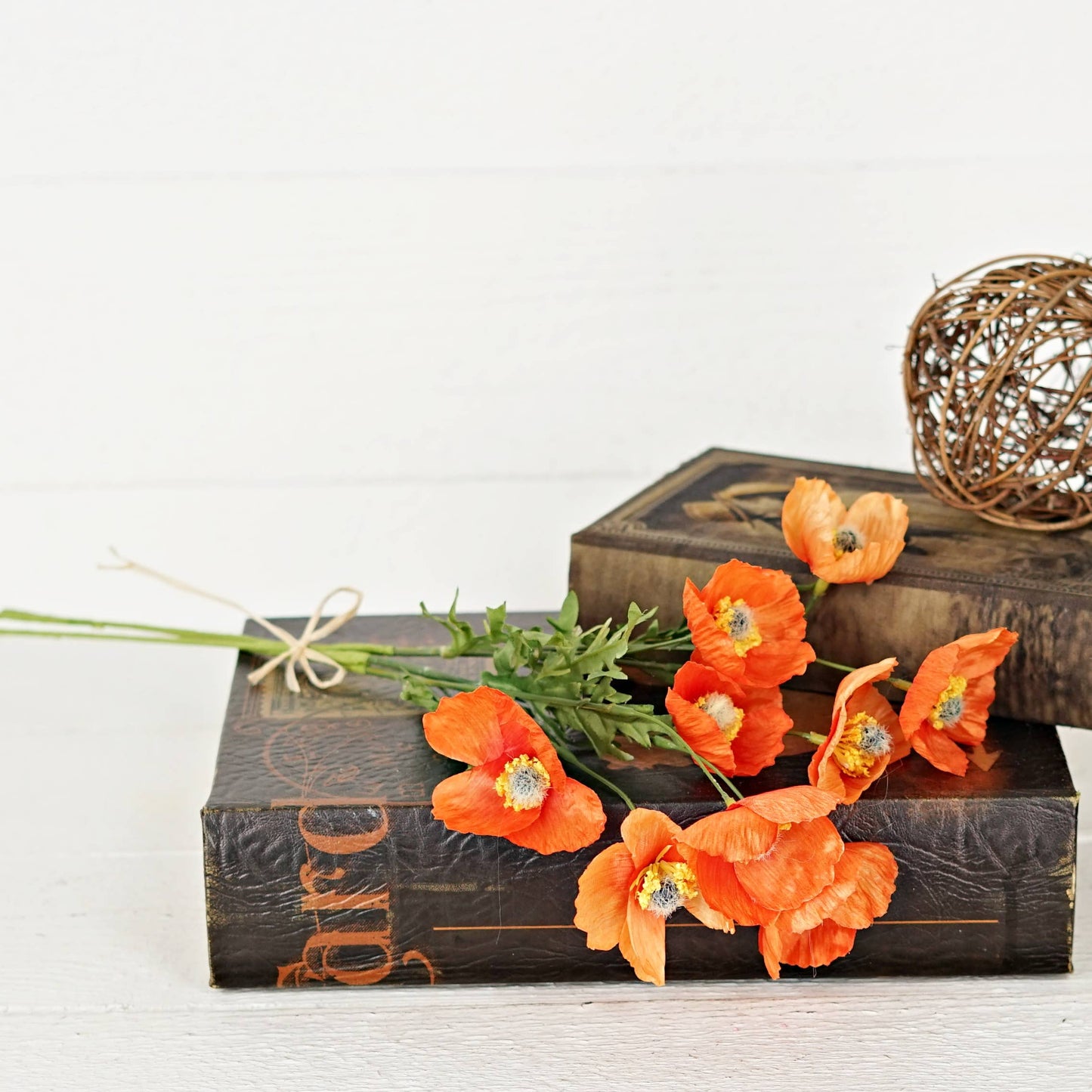 Wrinkle Poppy Bush-Orange-