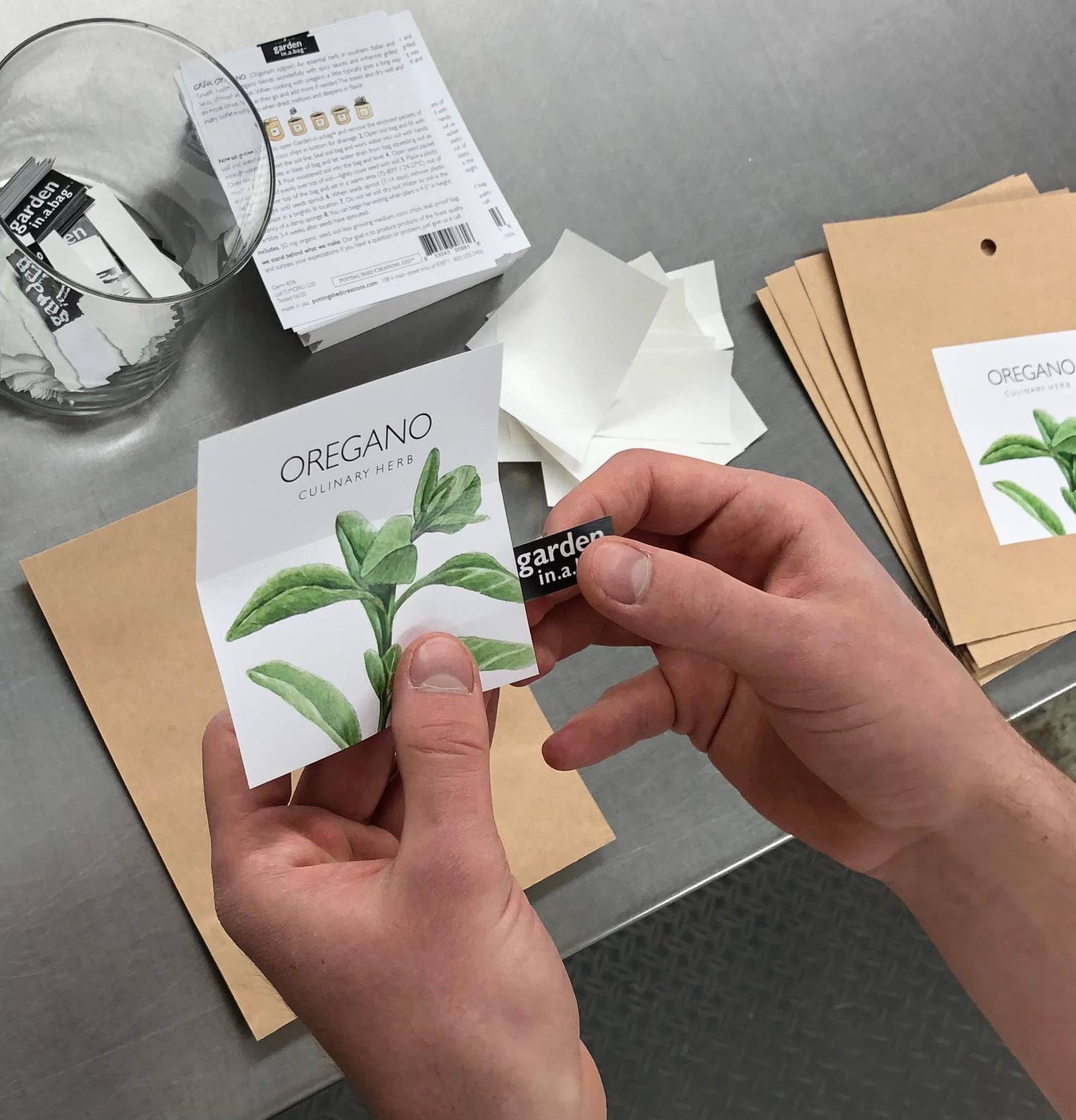 Garden in a Bag | Cilantro | Great gift for cooks