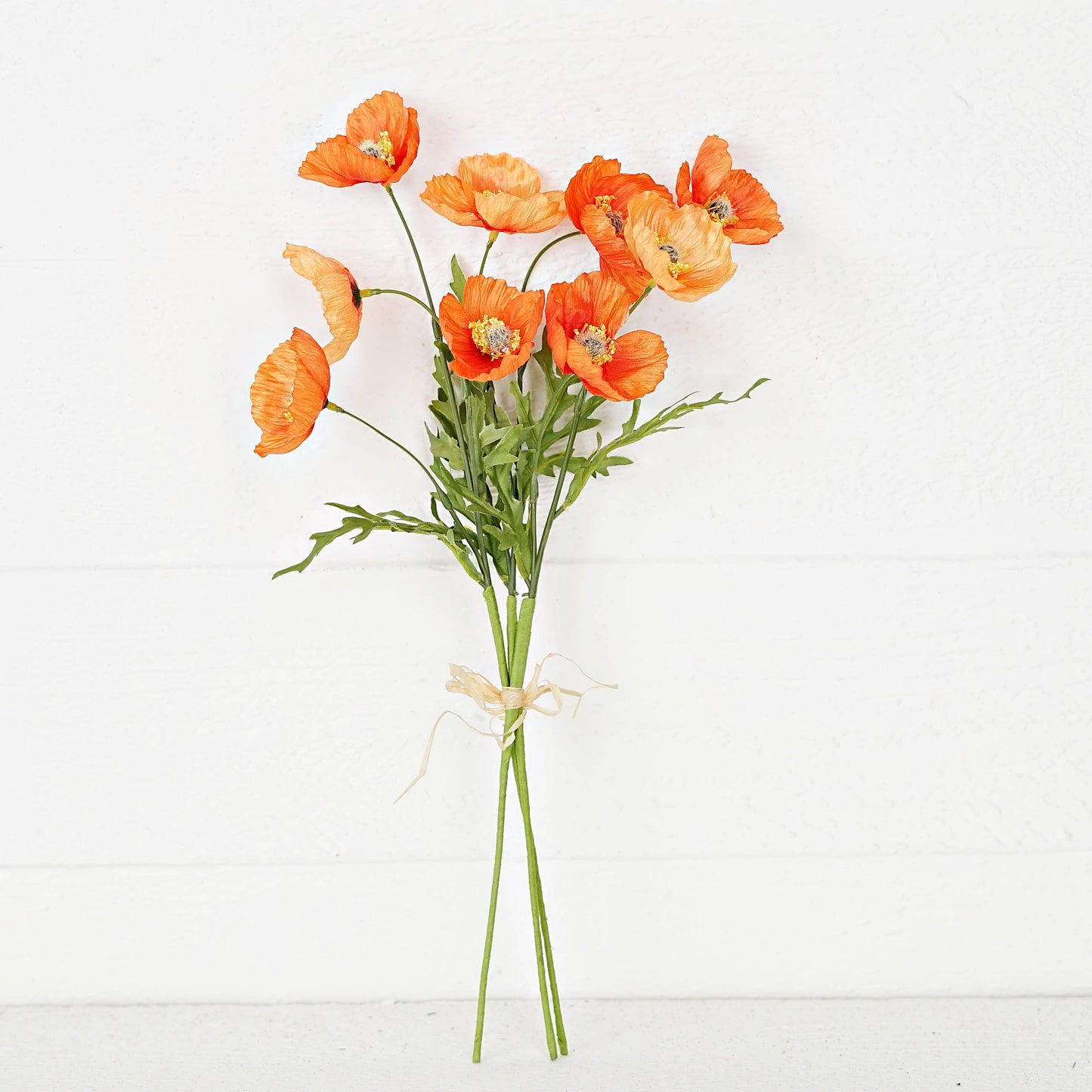 Wrinkle Poppy Bush-Orange-