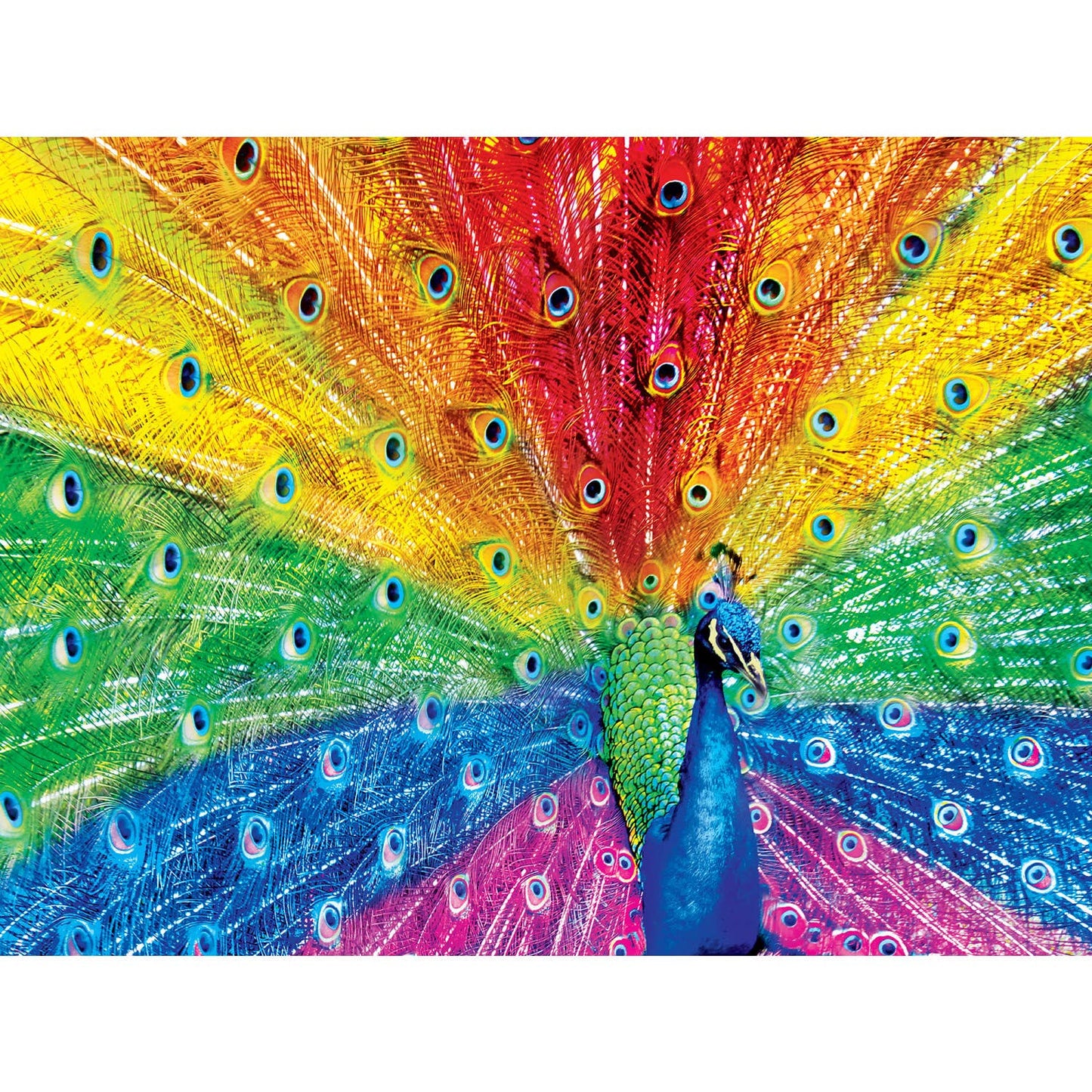 Brilliance - Peacock Delight 500 Piece Puzzle