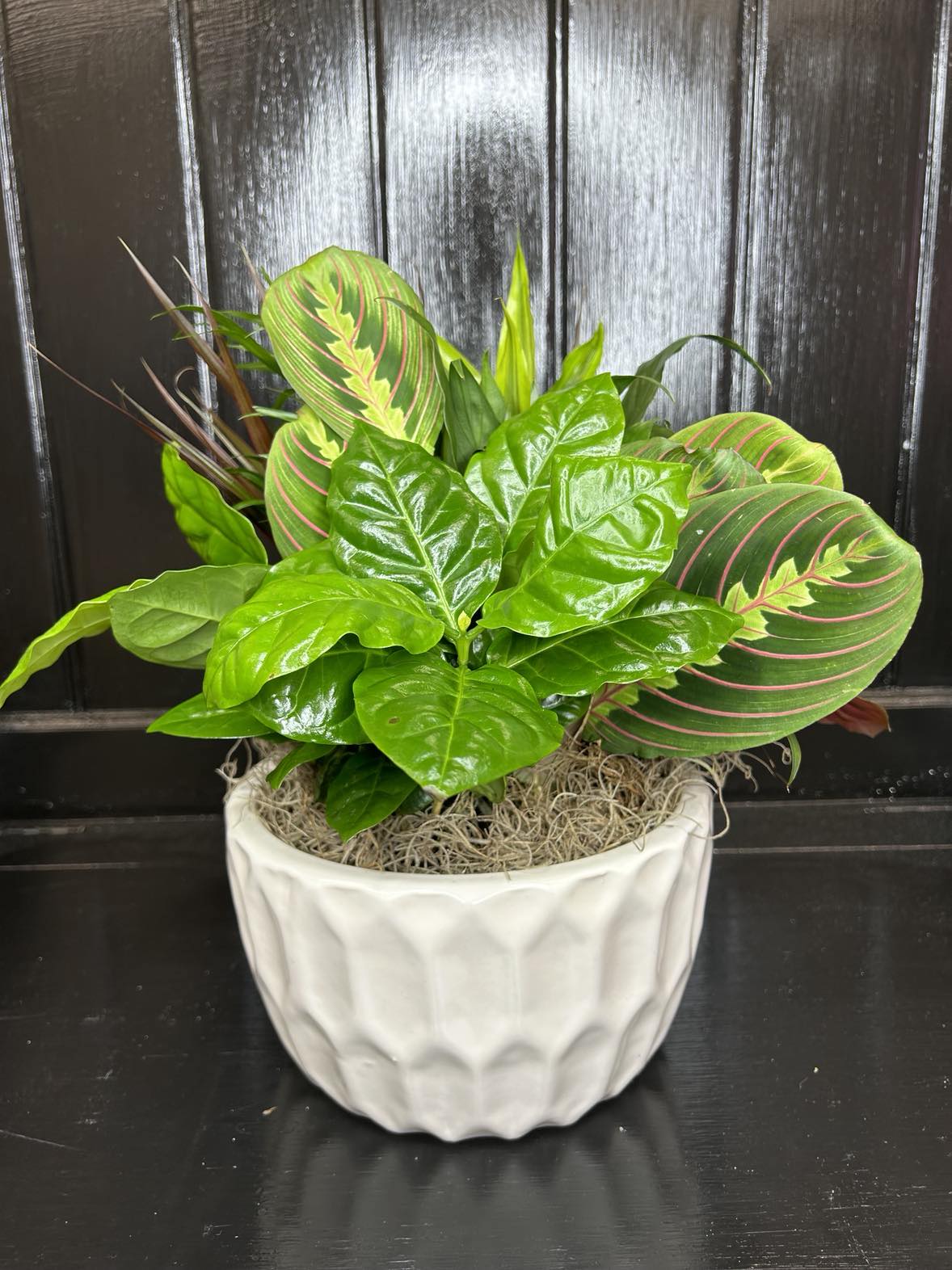 8"  Planter- Varies
