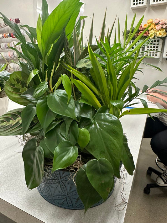 8" Metal Green Planter- Varies