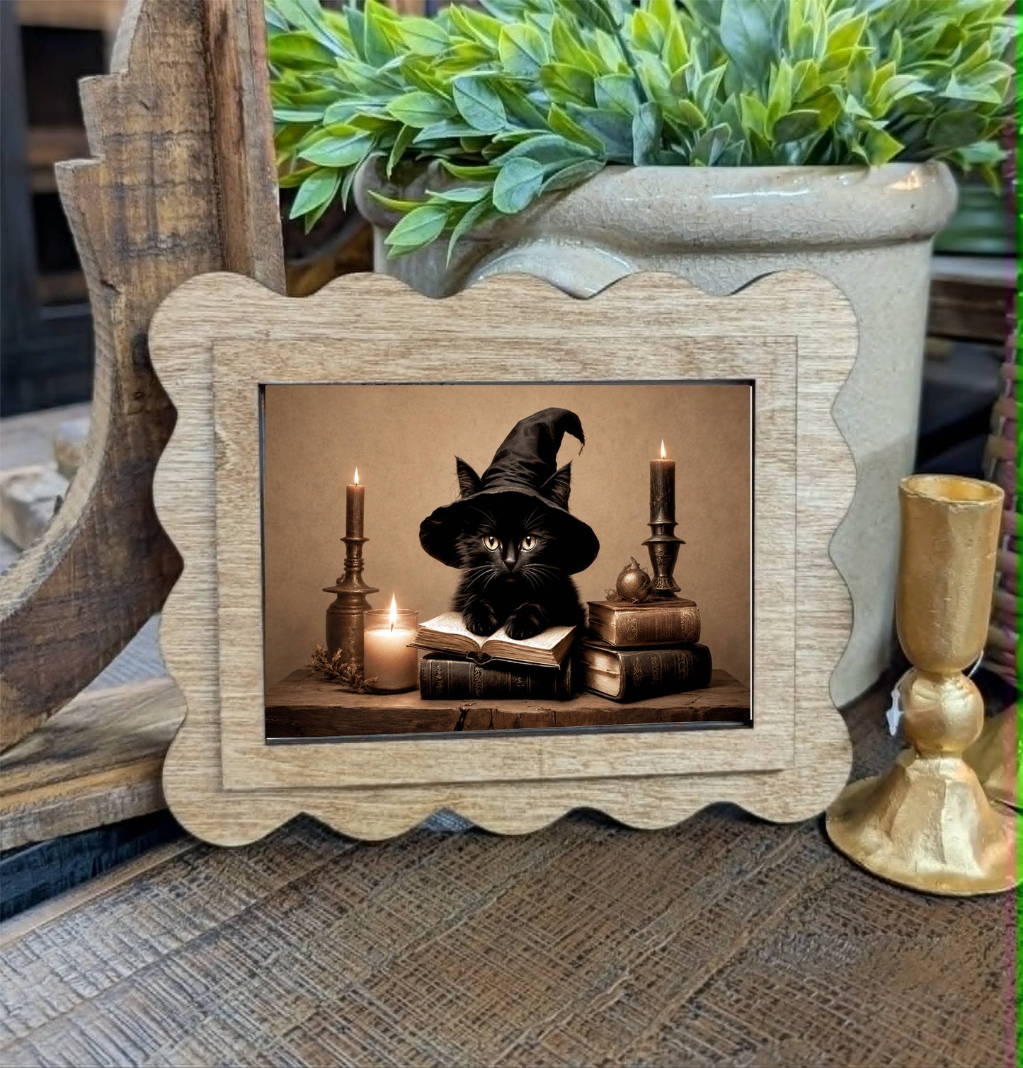 Scallop Halloween Cat Framed Canvas Art