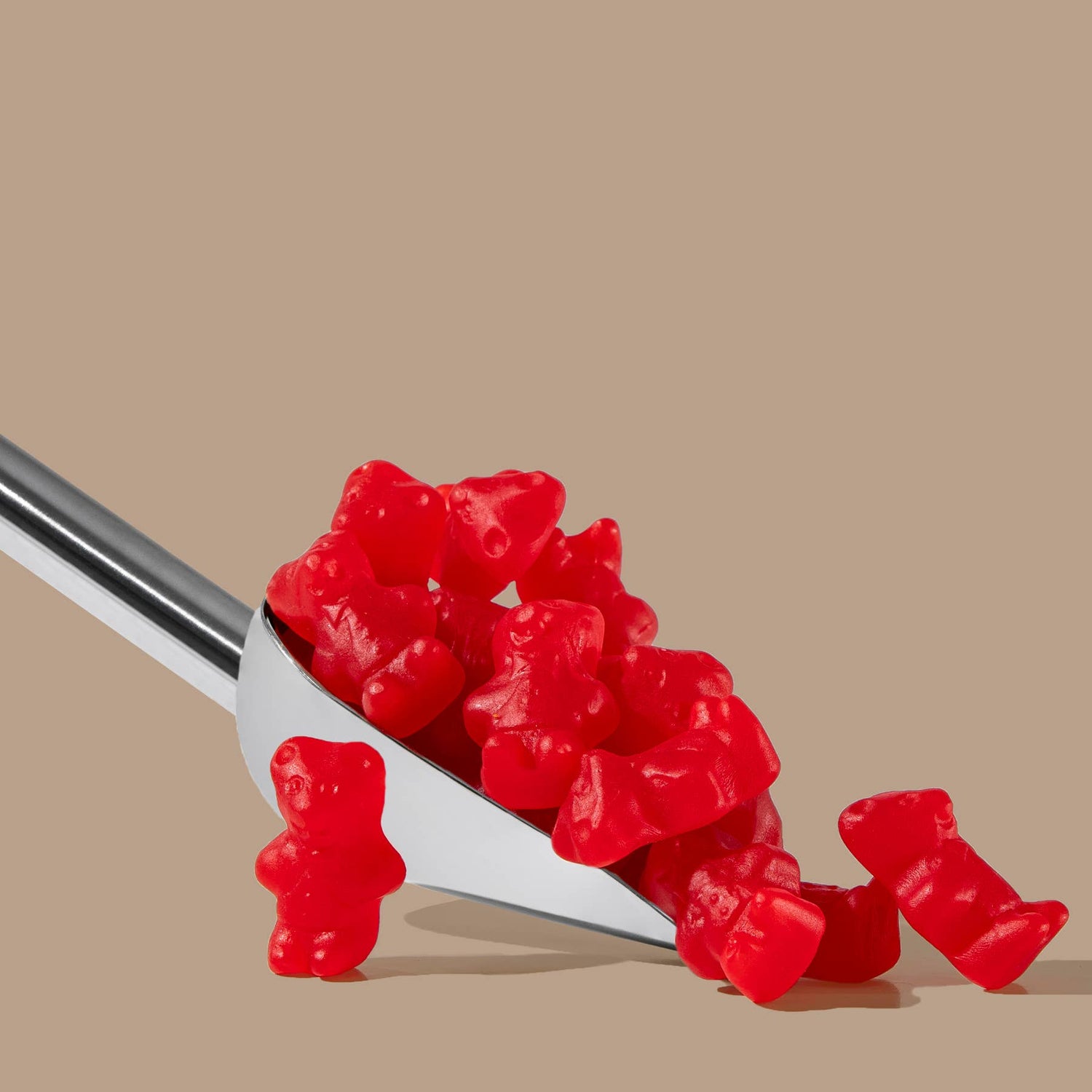 Cinnamon Bears