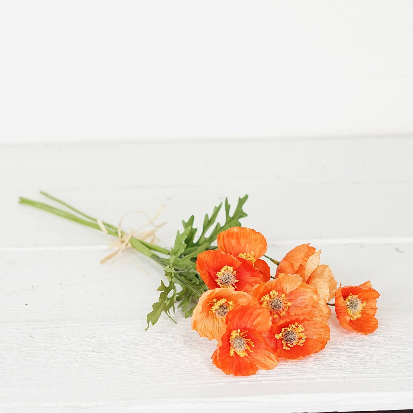 Wrinkle Poppy Bush-Orange-