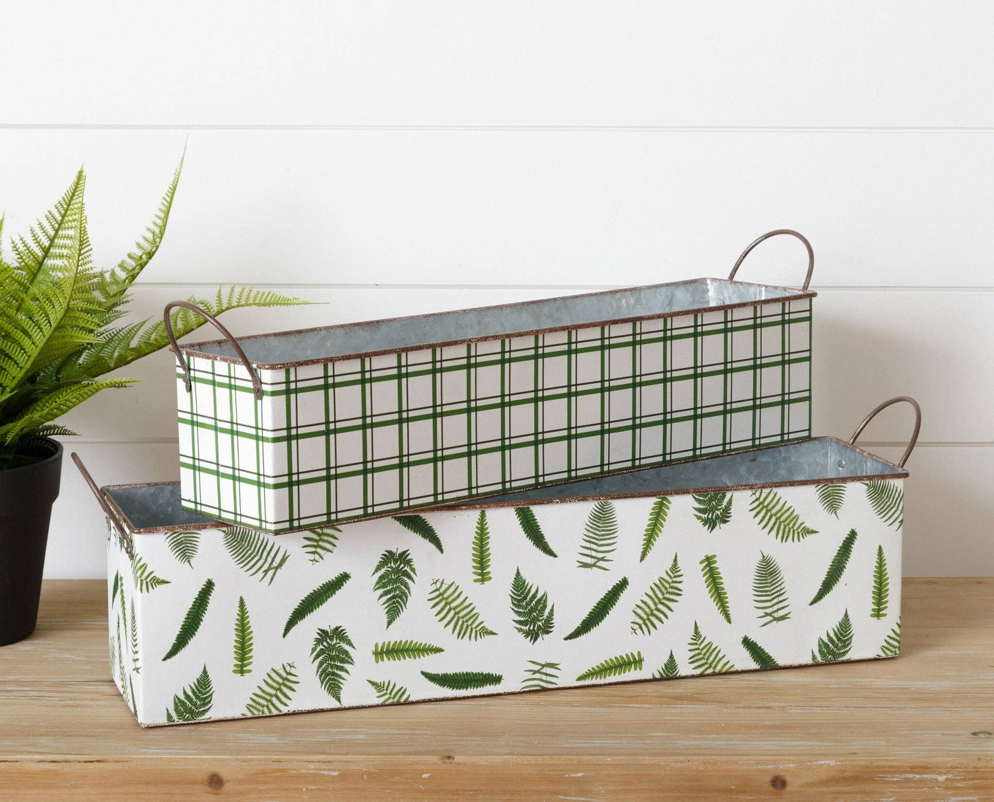 Nested Rectangular Fern Tins Ast