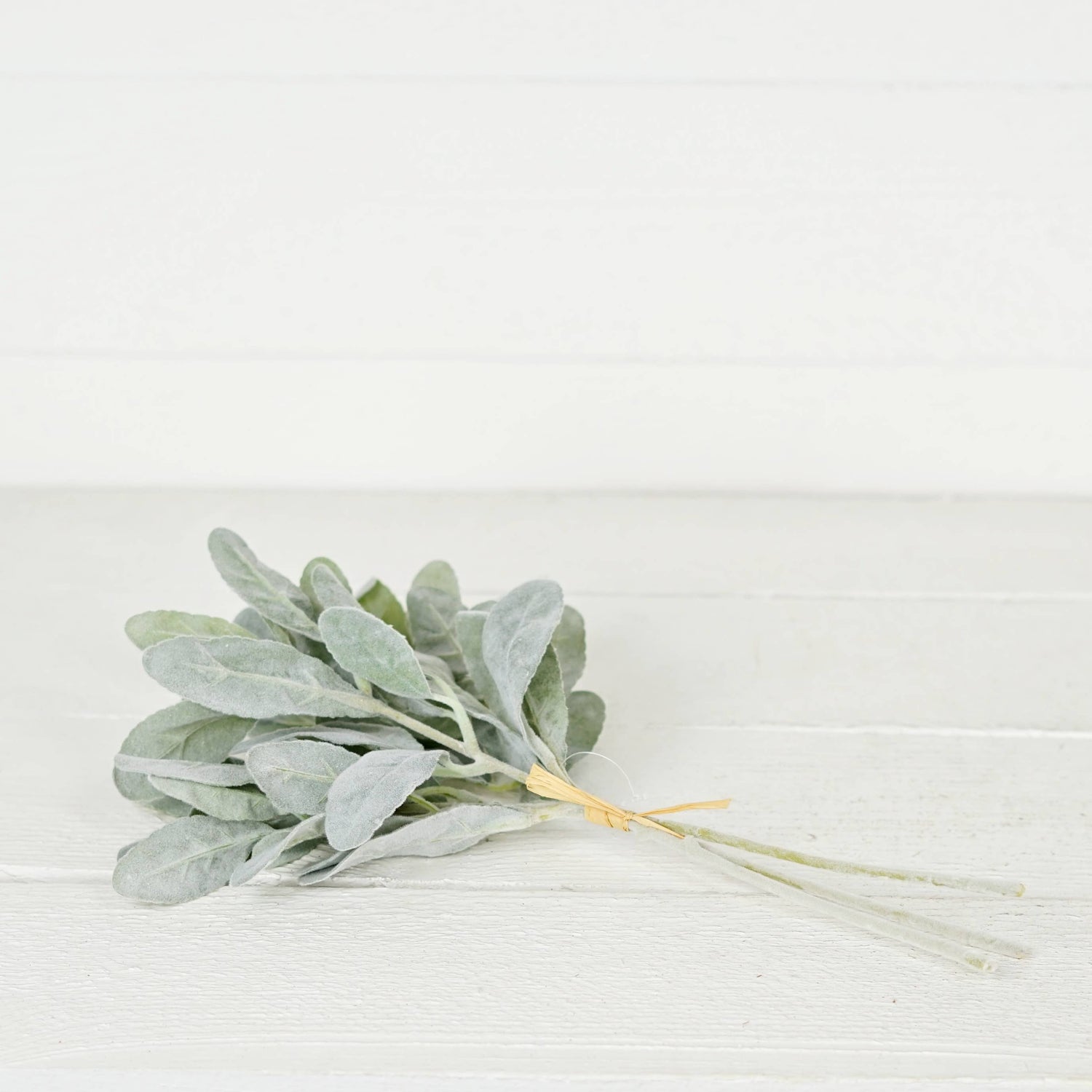 ISB79303- 14in Flocked Lamb Ear Leaves Bush