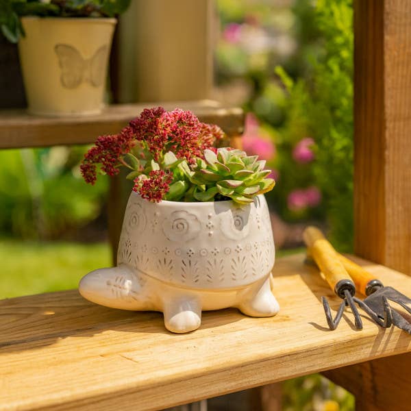 Decorative Planter - White Ceramic Shaped Turtle, 7 in.