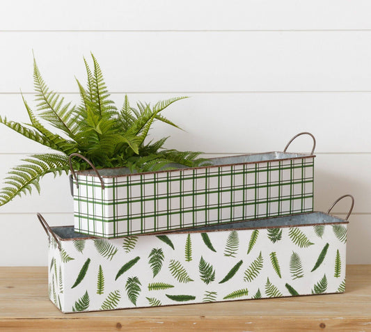 Nested Rectangular Fern Tins Ast