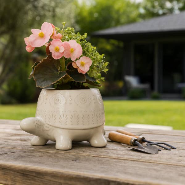 Decorative Planter - White Ceramic Shaped Turtle, 7 in.
