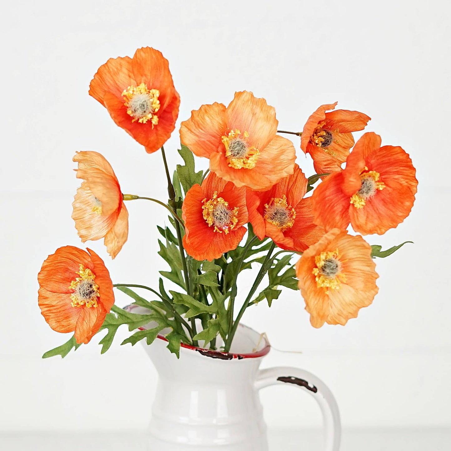 Wrinkle Poppy Bush-Orange-