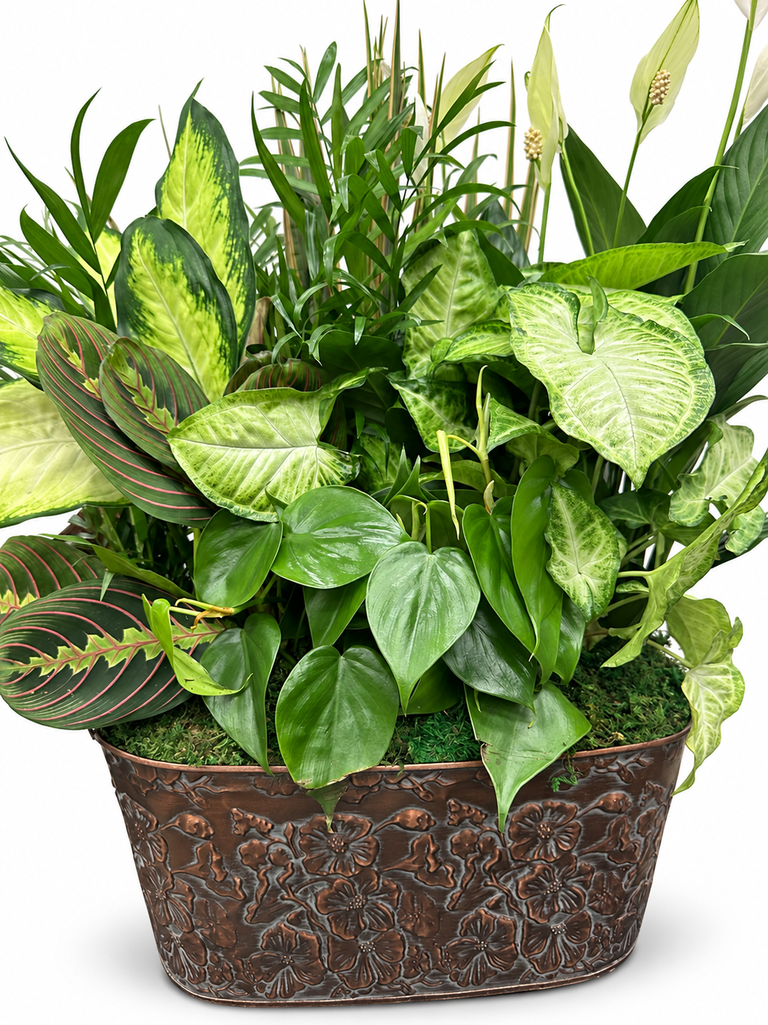 Planters