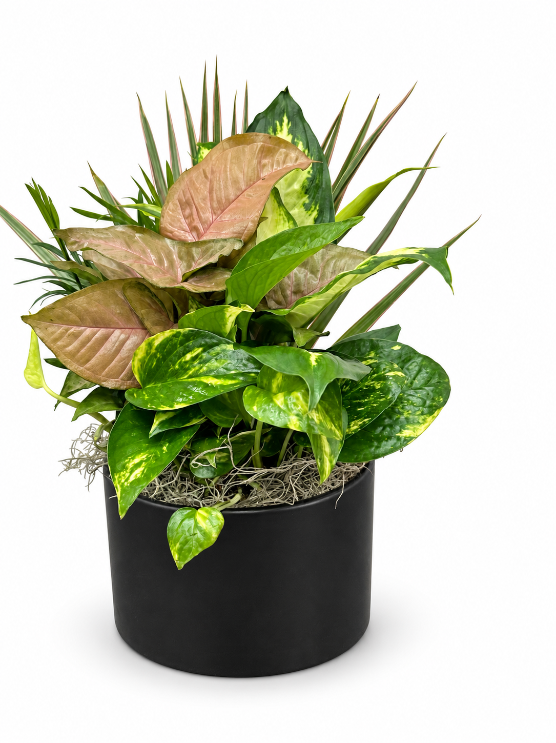 Planters