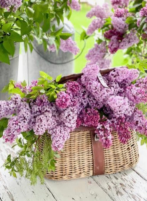 August- Bring your own container Silk Floral Workshop