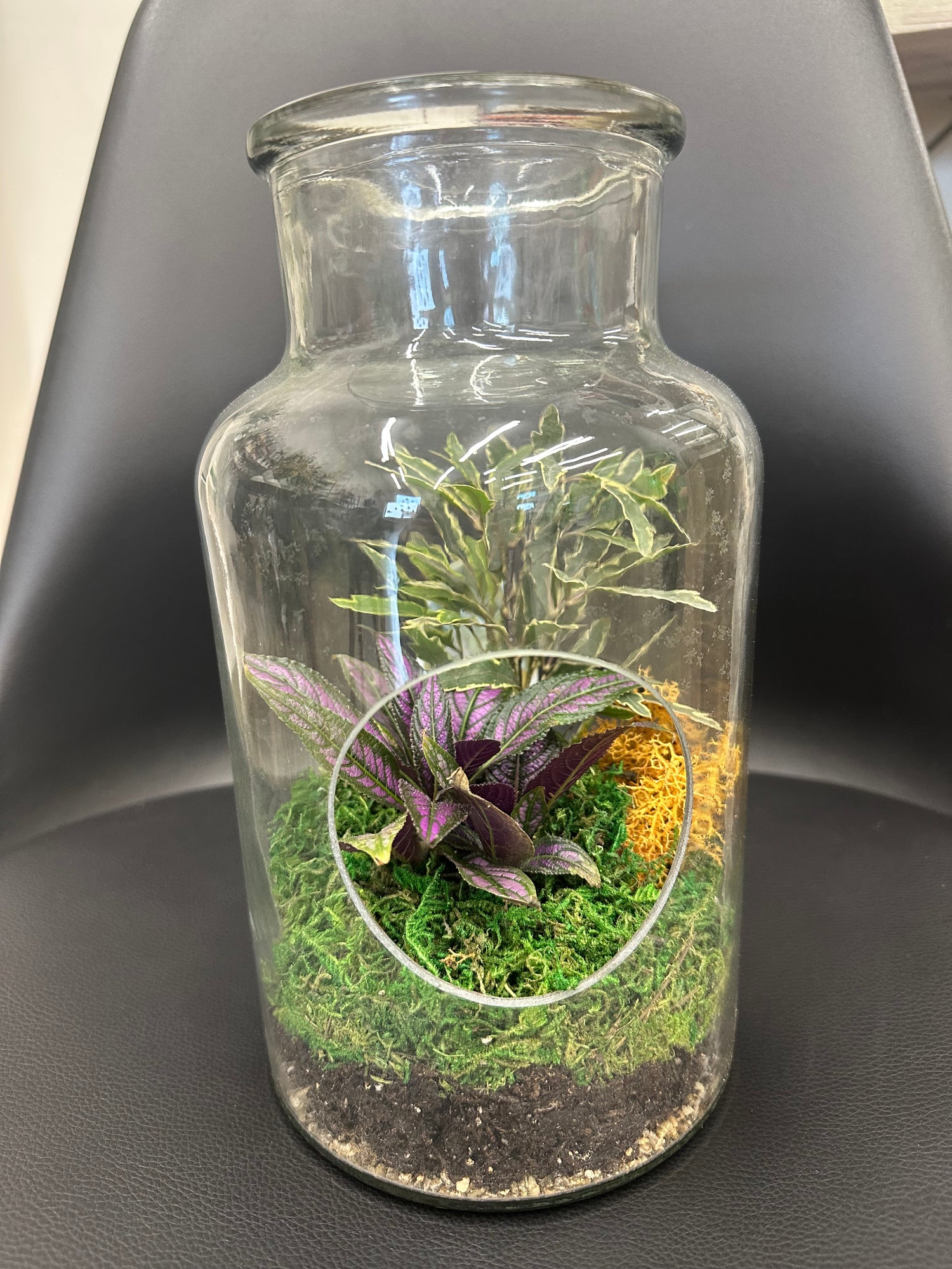Glass Plant Terrarium -large