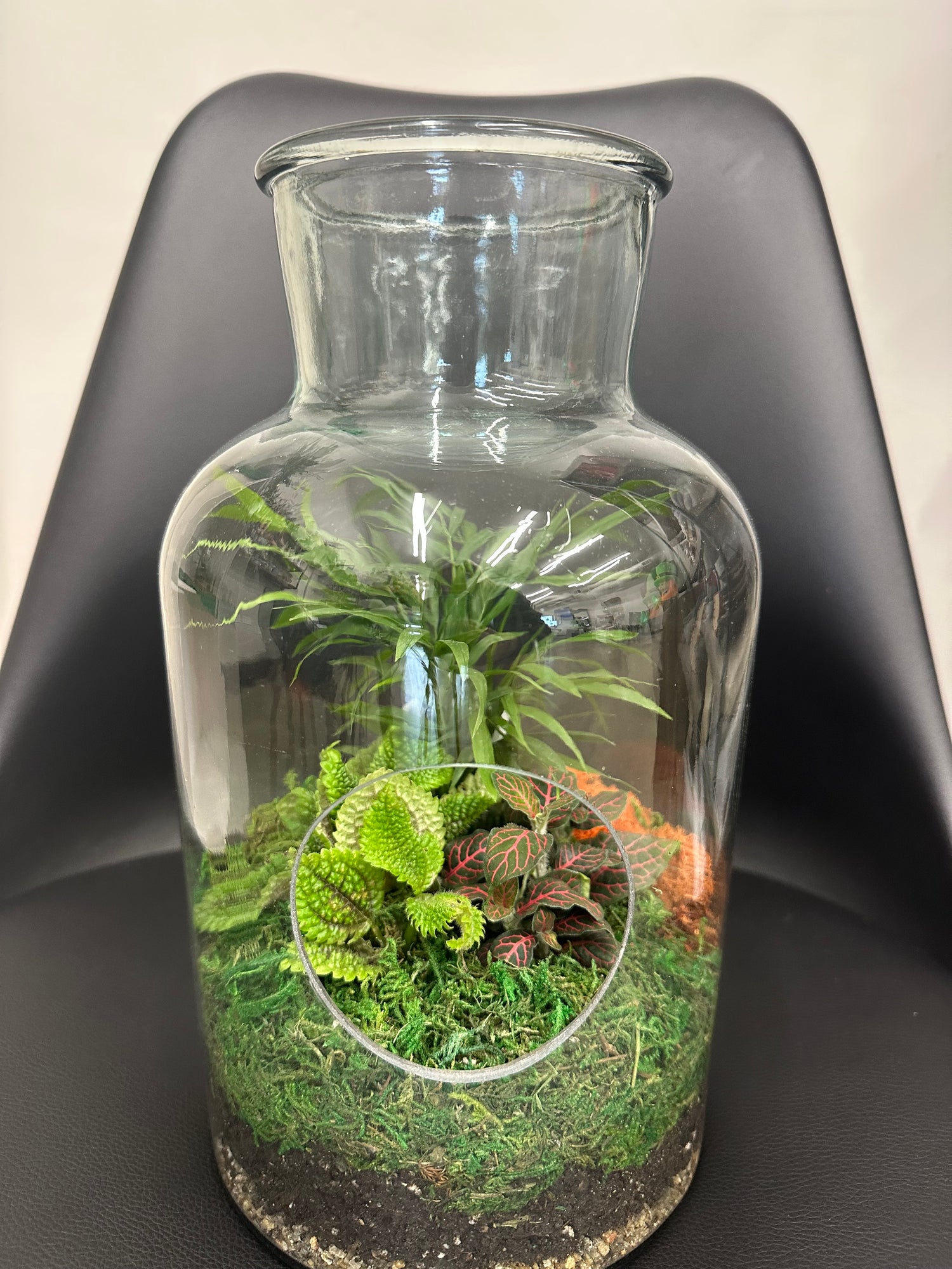 Glass terrarium- medium