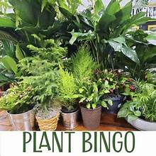 September- Plant Bingo