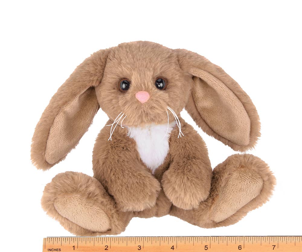 Lil' Benny the Brown Bunny