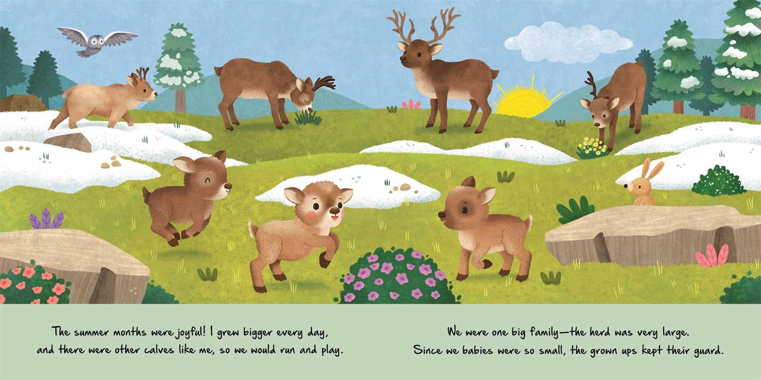 Nature Stories: Little Reindeer by IglooBooks