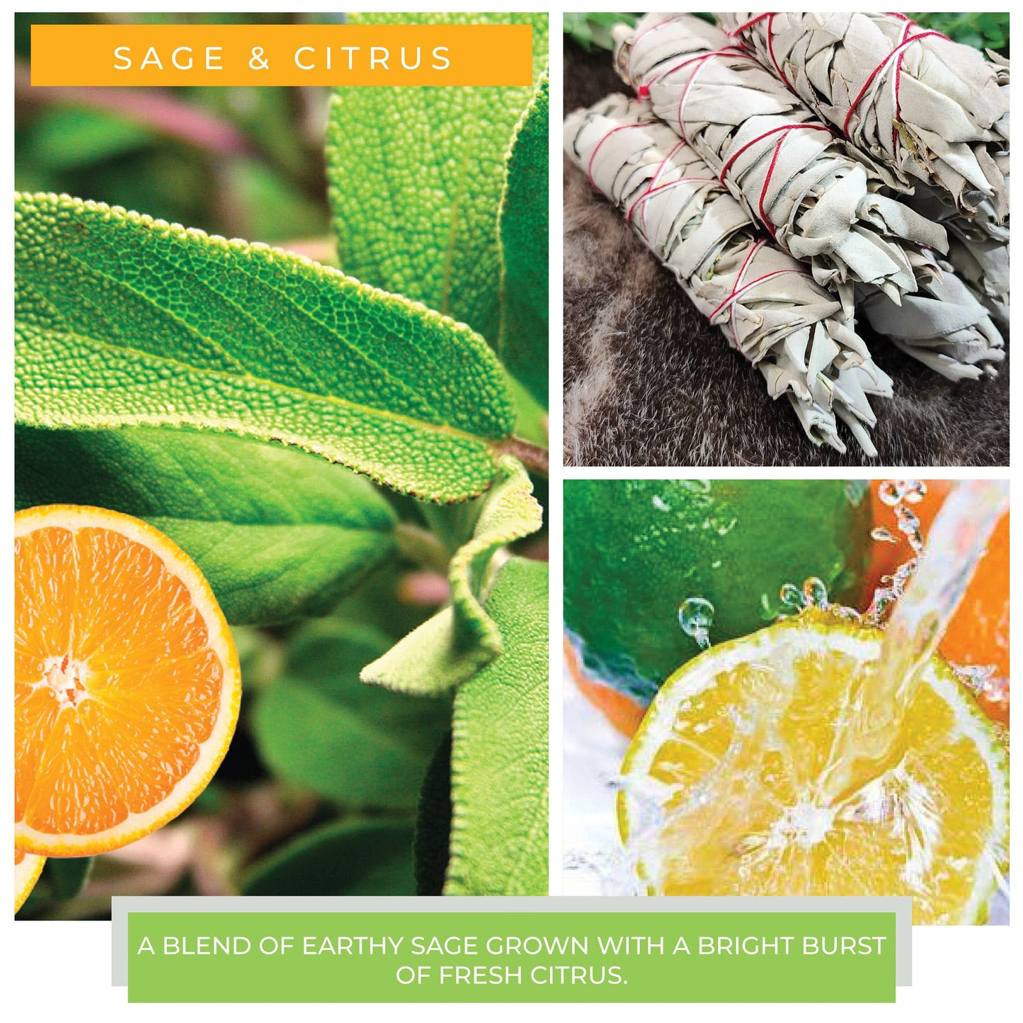 Room Spray (7oz.) – Sage & Citrus