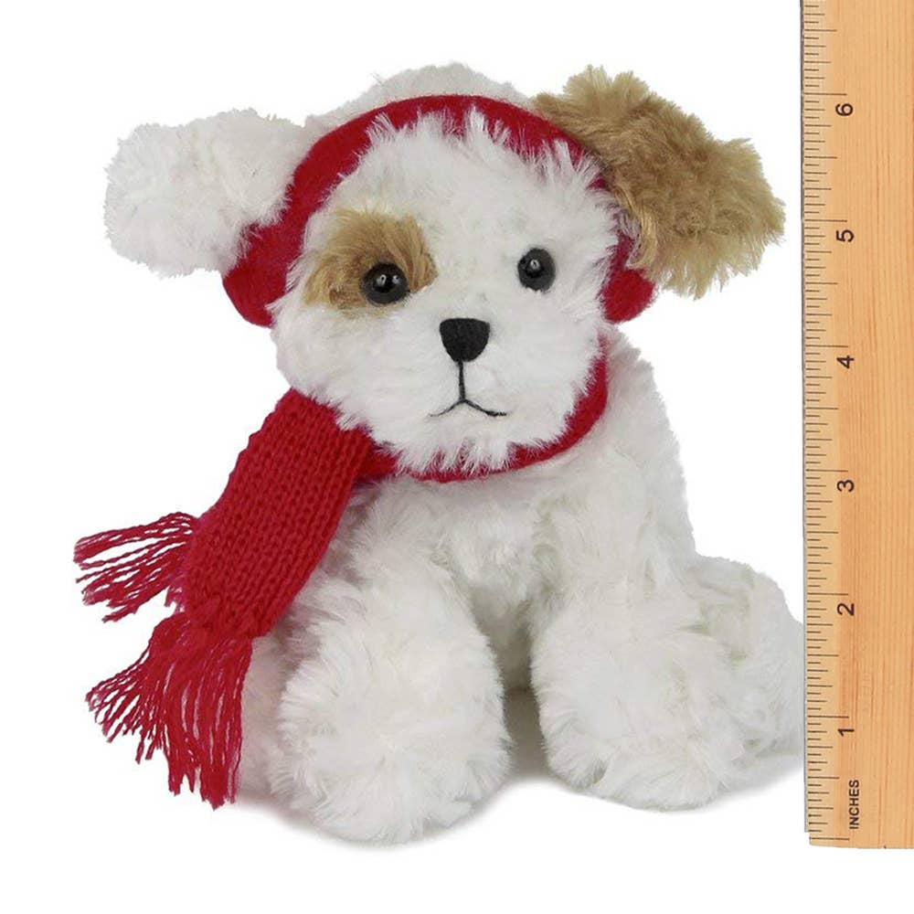 Chilly Dog the Dog