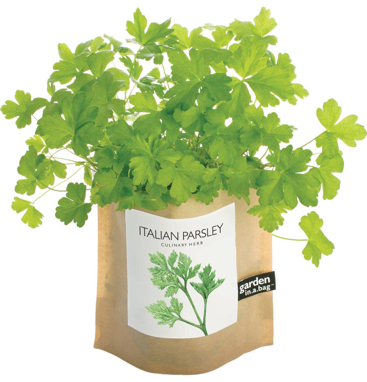 Garden in a Bag | Italian Parsley | Great gift for Cooks