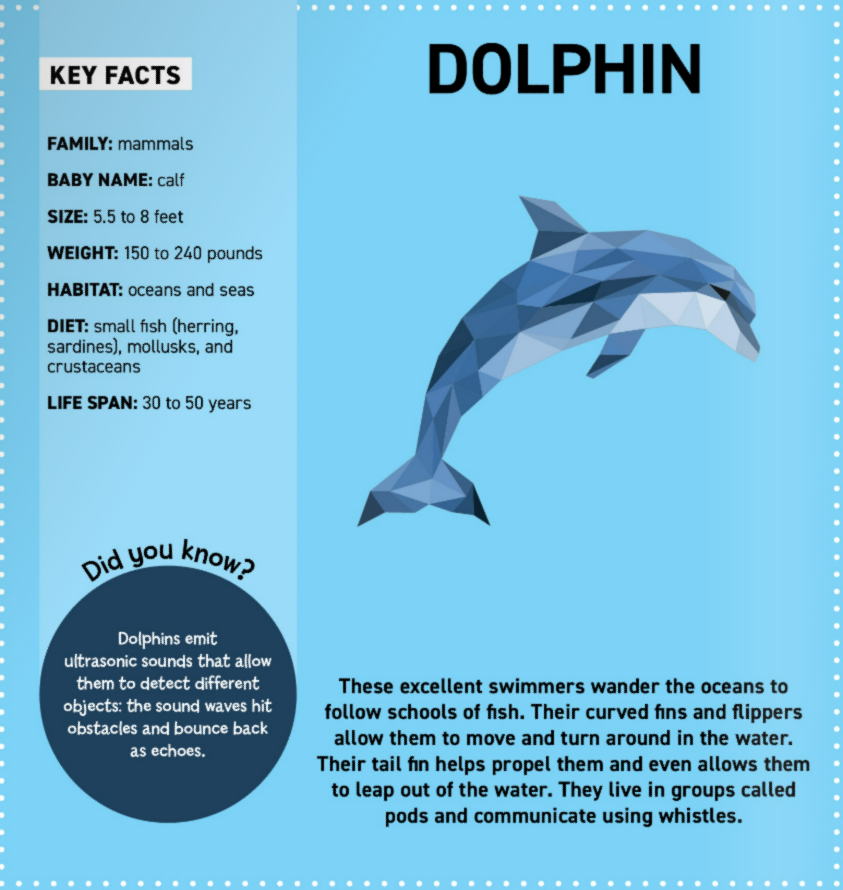 Activity Book - My Sticker Paintings: Ocean Animals