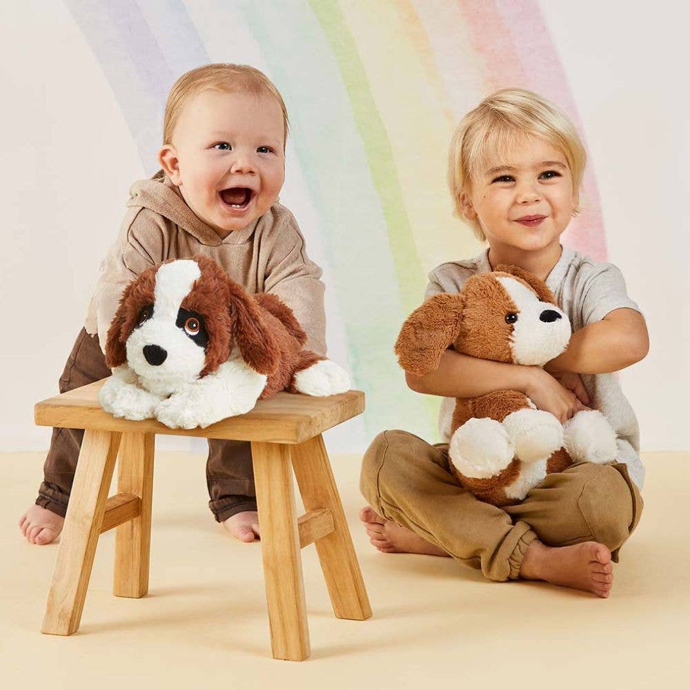 St. Bernard Warmies
