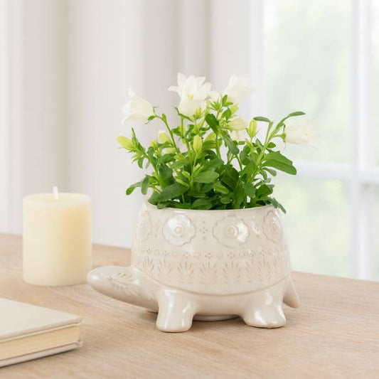 Decorative Planter - White Ceramic Shaped Turtle, 7 in.