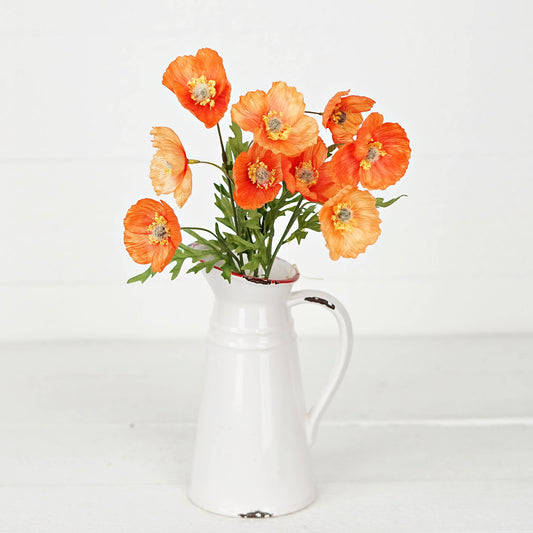 Wrinkle Poppy Bush-Orange-